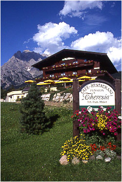 Hotel-Pension-Cafe Theresia in Hinterthal bei Maria Alm